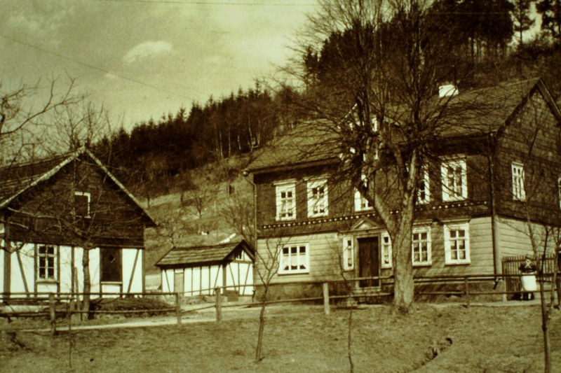 AHL FRIEDERSCH/GRÜNS