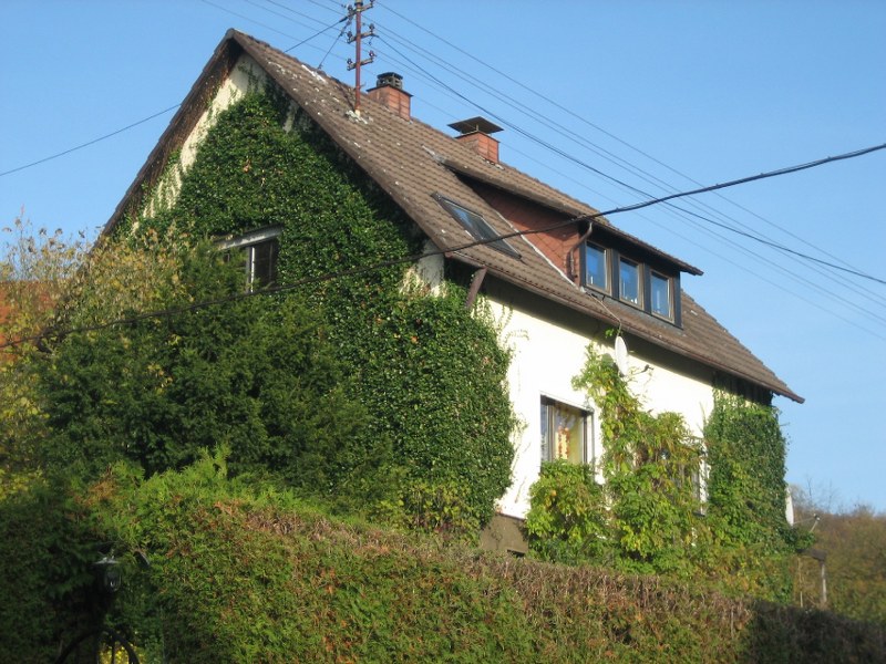 OEHMS a.d. HAIJ