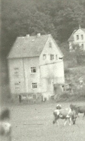 SETTCHES SCHUSDER