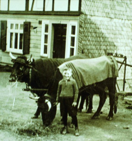 RECHERSCH a.d. HAIJ