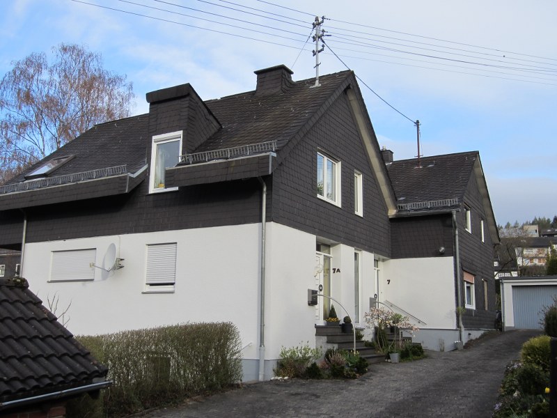 SCHLEIFEBAUMS